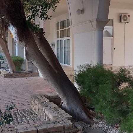 Eleantre Holiday Apartments Paphos Kültér fotó